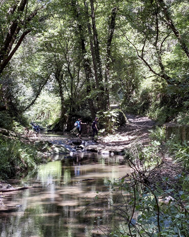 Ruscello delle cascate di Cerveteri