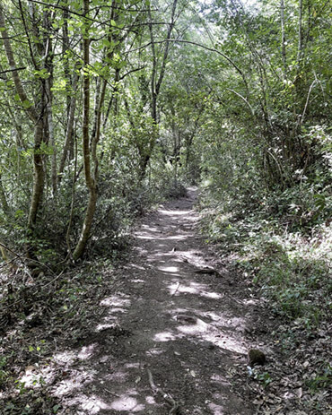 Sentiero per le cascate Cerveteri