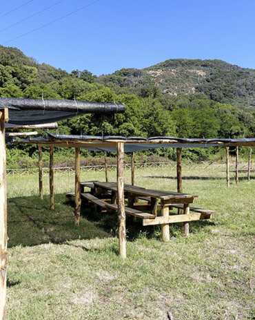 Area da picnic delle cascate di Cerveteri