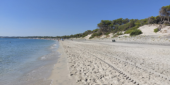 Spiaggia Alimini