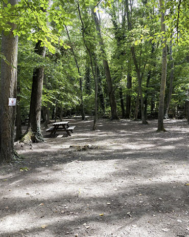 Area pic-nic nelle gole di San Venanzio